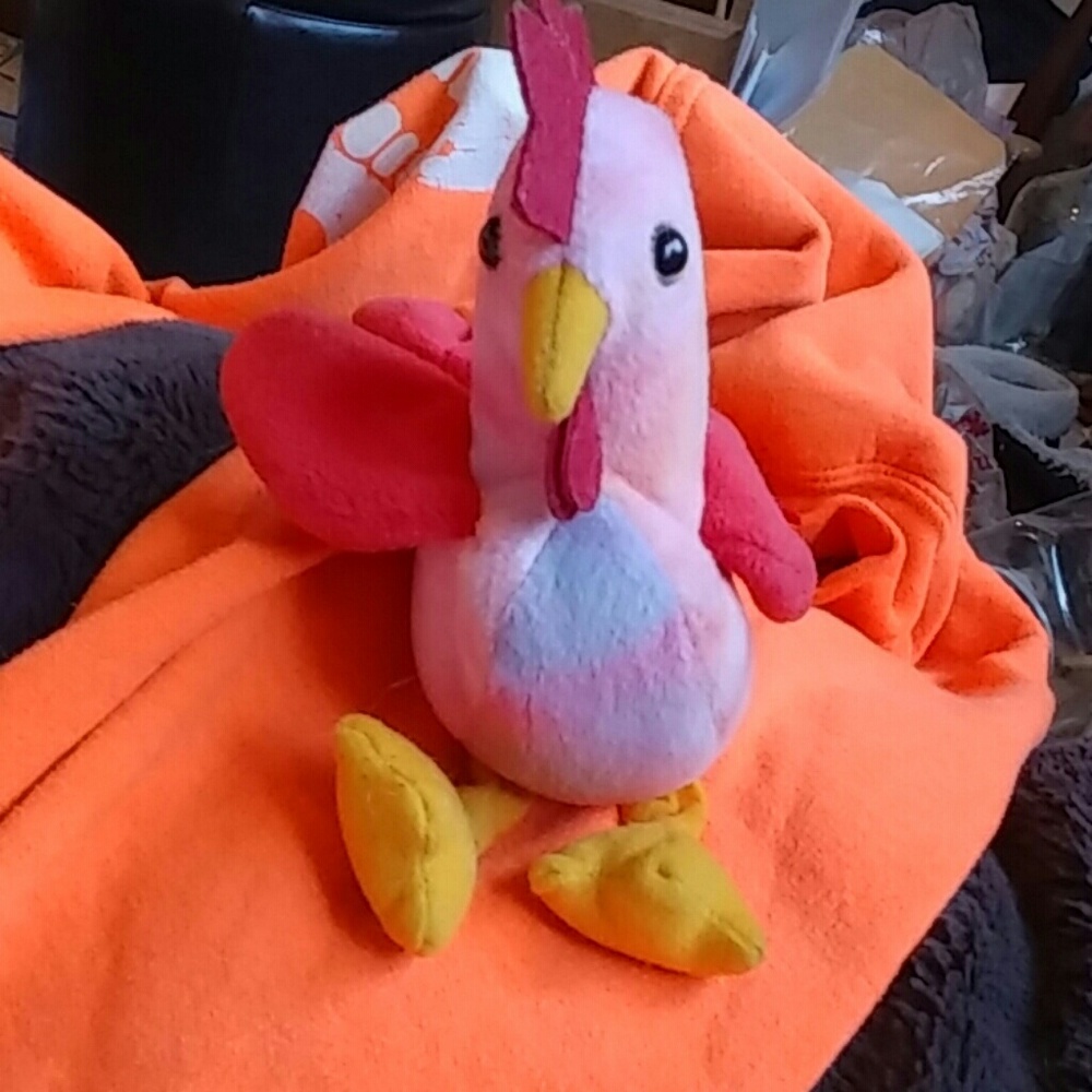 Strut the rooster
